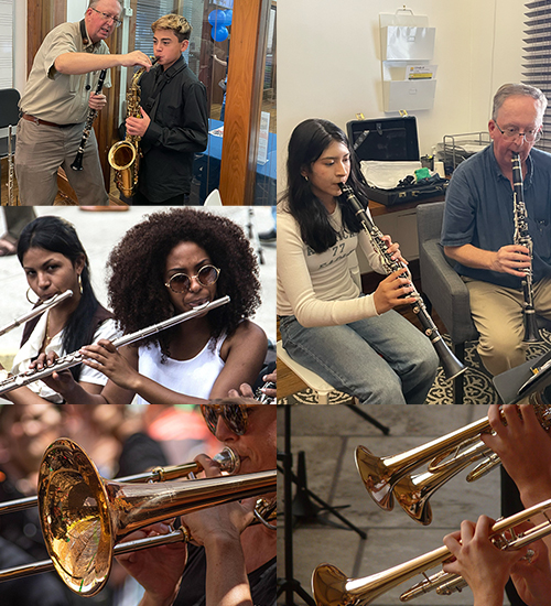 Wind and Brass Instruments